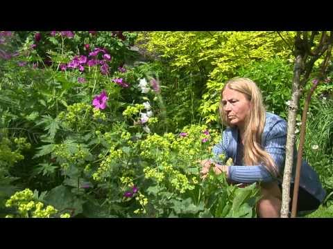 Des Jardins et techniques à découvrir en vidéo