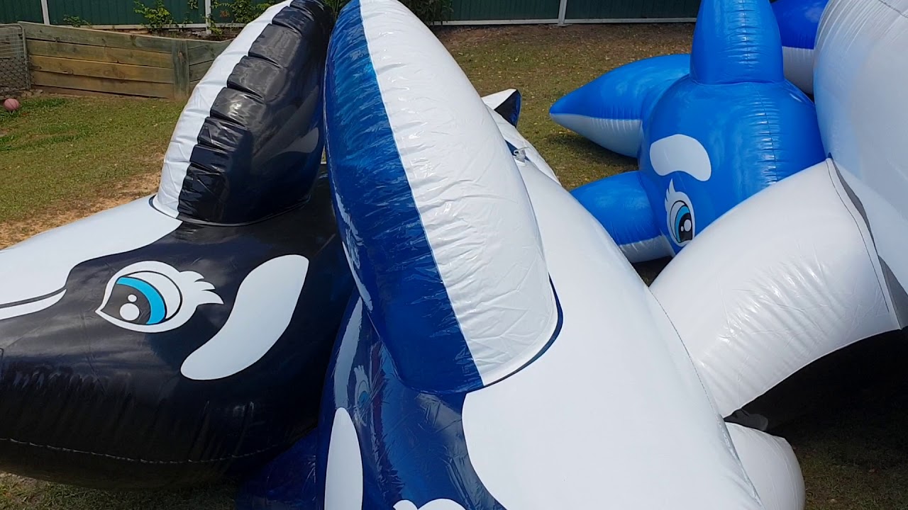 Girl humping inflatable whale