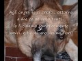in memoria di Jado - Addio Amico Mio