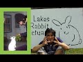 Kyle Vincent talks about the wonderful world of house rabbits.