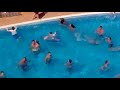 MARINA TORRENOVA HOTEL MAGALUF 2009 AQUA SPLASH BOMB THE POOL