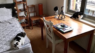 Help Me Organise My Bedroom ?? ASMR HOUSE TOUR
