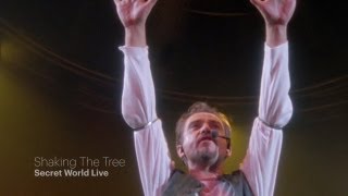 Watch Peter Gabriel Shaking The Tree video