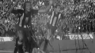 3_WB2bNEe1Q Video Image