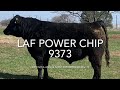 LAF Power Chip 9373