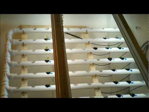 hydroponic lettuce alabama