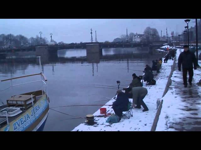 где и как клюет на заливах где и как клюет на заливах