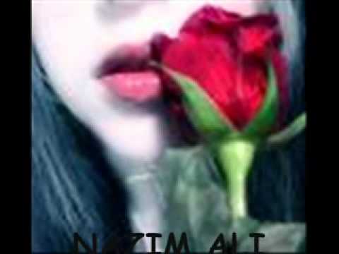 Hamara Haal Hum Kiya Batain Team wmv YouTube xvid