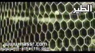 3a0glI7roKM Video Image