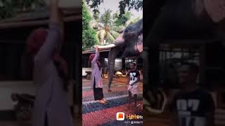 ചറതയടട ഒനന പണ പള എനന തനനനന