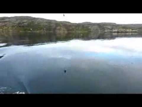 морская рыбалка баренцево море дикарем морская рыбалка баренцево море дикарем
