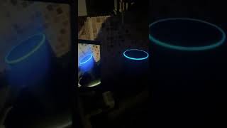 Dark Web Alexa Amazon Sell Everything