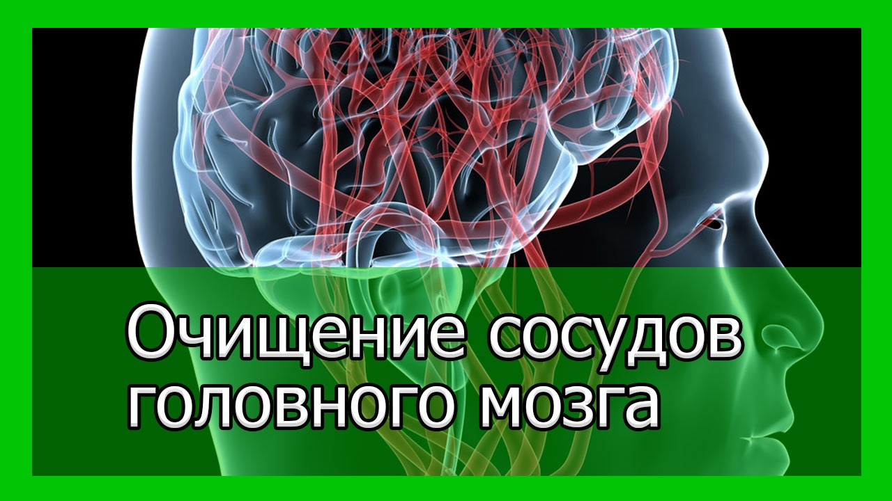 Диета При Болезни Сосудов Головного Мозга