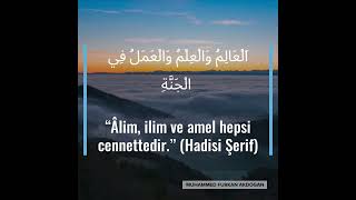 Alim, Ilim Ve Amel Hepsi Cennettedir. Hadisi Şerif