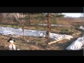 Greenshire Eco Farms  & Healing Horse Centre Tour - Fall 2012 - Part 8
