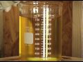 Video Biodiesel Production Demonstration - Part 2 of 3