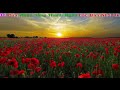 Màu Hoa Đỏ Karaoke _ Beat Chất Lượng cao _ Nhạc Sống