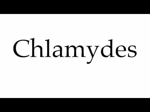 Header of chlamydes