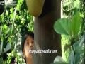 Ranker Video