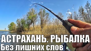 Рыбалка В Астрахани На Спиннинг. Ловим Рыбу Не Как Все