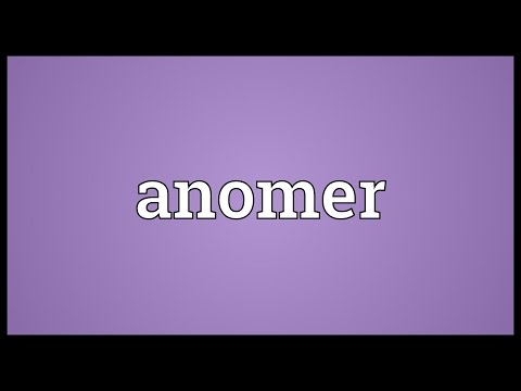 Header of anomer
