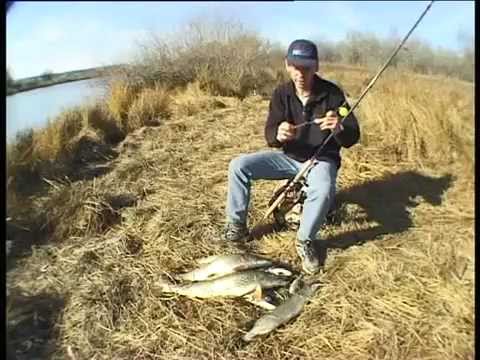 Видео о рыбалке №125