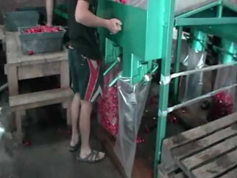 Оборудование для выращивания моркови 13