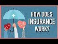 How Does Insurance Work?
