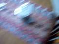 Foto pequena Motorola SLVR L7 iTunes Feature Review