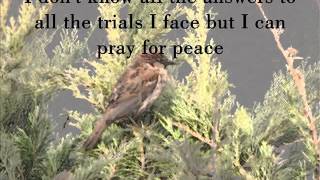 Watch Jeff  Sheri Easter Peace video
