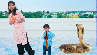Monika Run Snake Coming Comedy Video Funny Video Prabhu Sarala Lifestyle