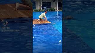 Amazing Moment Of Dolphins Lodge Tour With Komang Bali Trip 6281337677241