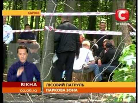 Сюжет Окна-СТБ. 2.06.2010