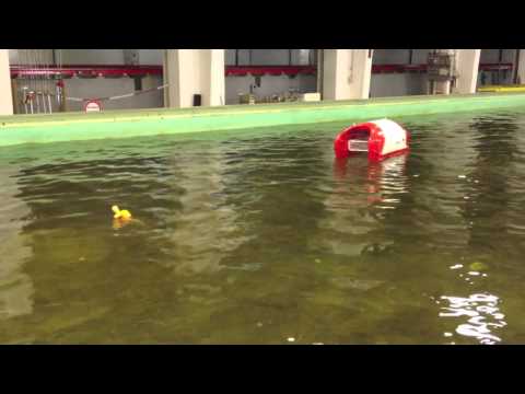 AGaPaS (Autonomously Acting Rescue Robot for Persons in Distress at Sea)