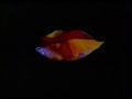 Loop Guru - Skin Heaven