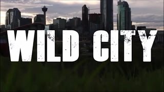 Watch Pretty Reckless Wild City video