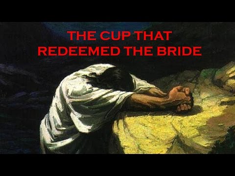 The Cup That Redeemed the Bride