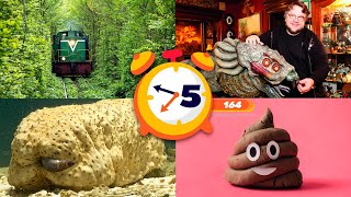 25 Cosas Que No Sabías Hace 5 Minutos Curi