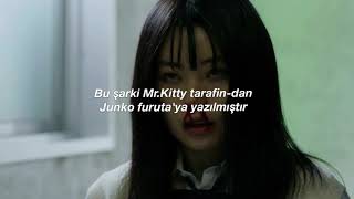 Mr.Kitty - 44 days (türkçe çeviri)