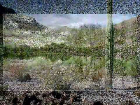 Bada Samjhaya Tenu.wmv by beelmeer