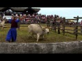 Országos Gulyásverseny és Pásztortalálkozó 2011 - Hortobágy