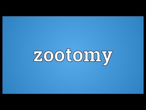 Header of zootomy
