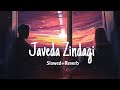 Javeda Zindagi |Anwar| Slowed+Reverb
