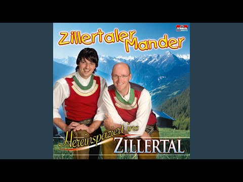 glückwunsch zum geburtstag cousine