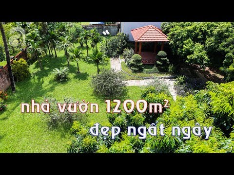 Ngôi nhà vườn rộng 1200m² đẹp ngất ngây, lúc lỉu trái cây ngay ở ngoại thành Hà Nội | Zovila