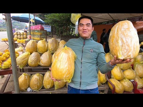 Bưởi khổng lồ cúng Tết nguyên đán Kỷ Hợi của người Dân tộc vùng cao Thanh Hóa