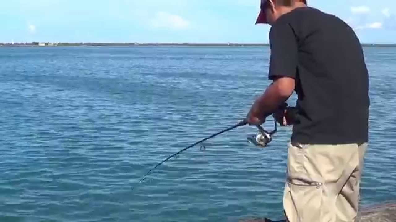 Danggit (Rabbit Fish) Fishing Part 2 YouTube