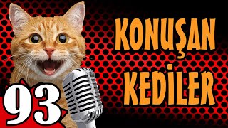 Konuşan Kediler 93 - En Komik Kedi ları - PATİ TV