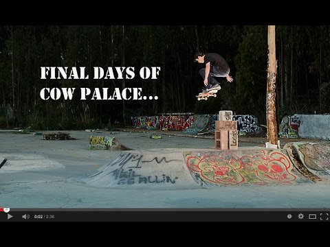 Final Days of Cow Palace