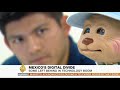 Mexico's digital divide